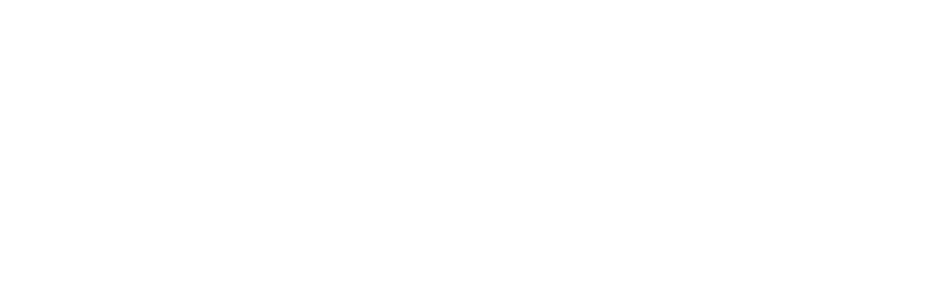 logo-techteam-white1