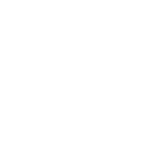 logo-techteam-icon-white3